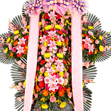축하5단(예약상품)